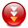 FlashGet 